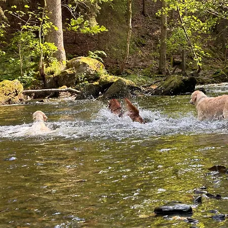 아파트 Plaetzchen Am Krebsberg Fuer Alle Fae