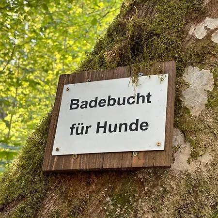 Plaetzchen Am Krebsberg Fuer Alle Fae 심머라스