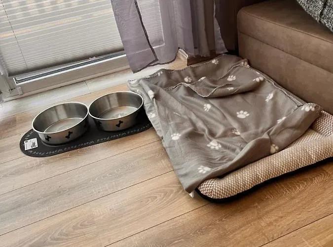 Apartment Plätzchen Am Krebsberg Für Alle Fä Simmerath