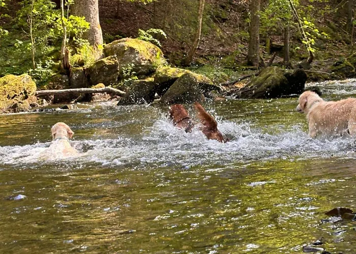아파트 Plaetzchen Am Krebsberg Fuer Alle Fae