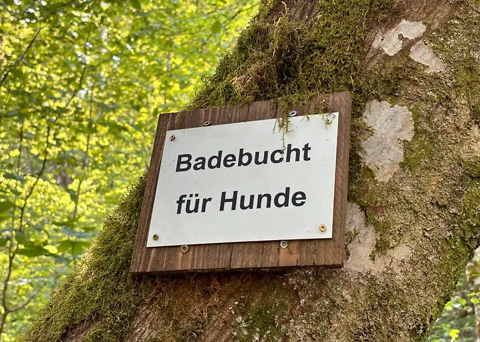 Plaetzchen Am Krebsberg Fuer Alle Fae 심머라스